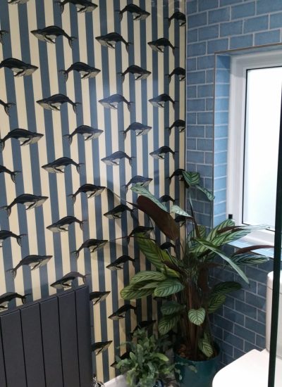 20171121_093946_resized_1